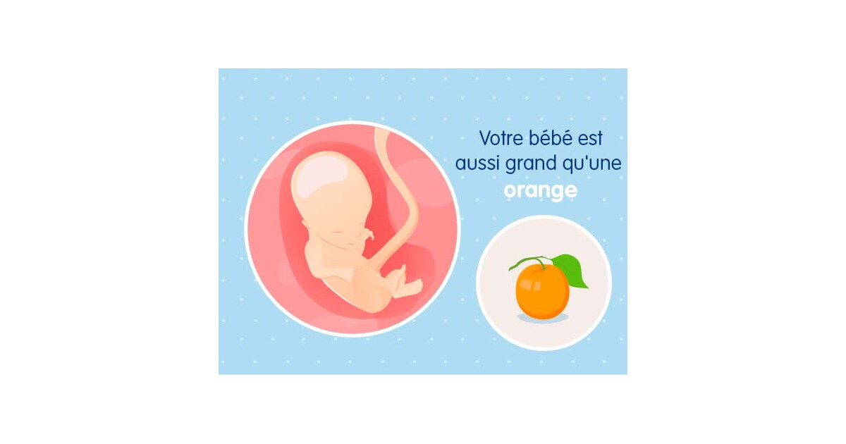 bebe 14 semaines grossesse